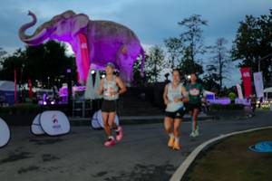 BIB: 
                            <button type="button" onclick="openModal(26529679)" class="btn btn-primary btn-sm float-right btn-popup" data-toggle="modal" data-target=".modal-high-quality">
                        <i class="fas fa-shopping-cart"></i> Add to Cart
                    </button>
                                            <button type="button" onclick="isThisMe(26529679, true)" class="btn btn-success btn-sm float-right btn-popup btn-isme hidden" data-toggle="tooltip" data-placement="bottom" title="นี่คือรูปของคุณใช่ไหม คลิกที่นี่เพื่อเอาเข้าอัลบั้ม">
                        <i class="fas fa-plus"></i> Add to album
                    </button>
                    <button type="button" onclick="isThisMe(26529679, false)" class="btn btn-warning btn-sm float-right btn-popup btn-isnotme hidden">
                        <i class="fas fa-ban"></i> Remove from album
                    </button>